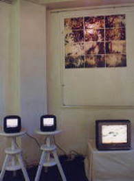 g܂݁@iʐ^